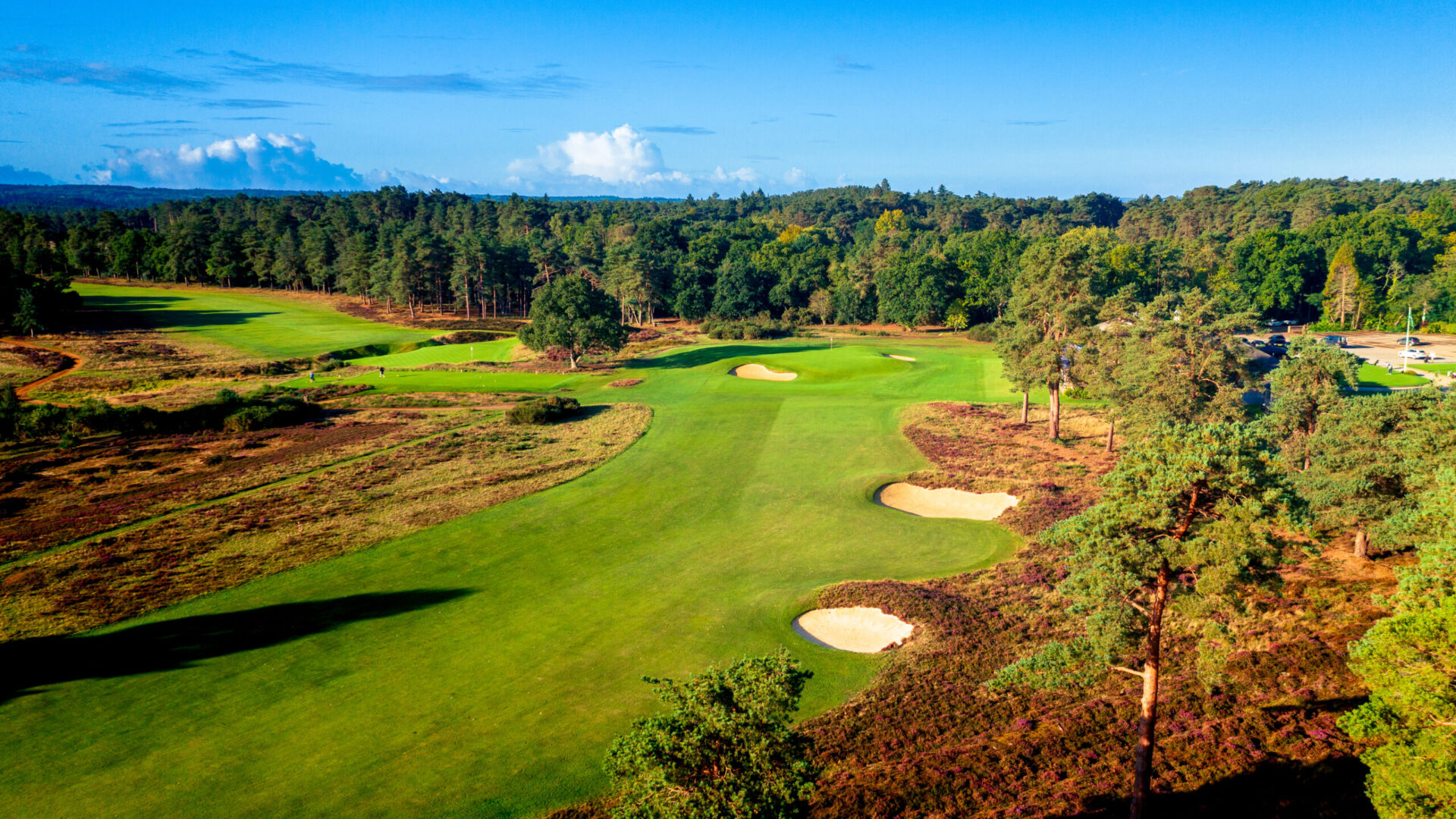 Hankley-Common-Golf-Club-2025-04th-Hole-1140