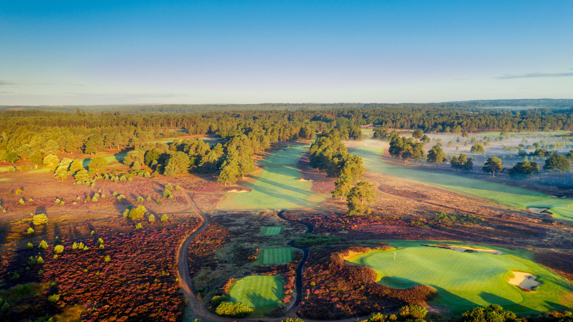 Hankley-Common-Golf-Club-2025-08th-Hole-1007