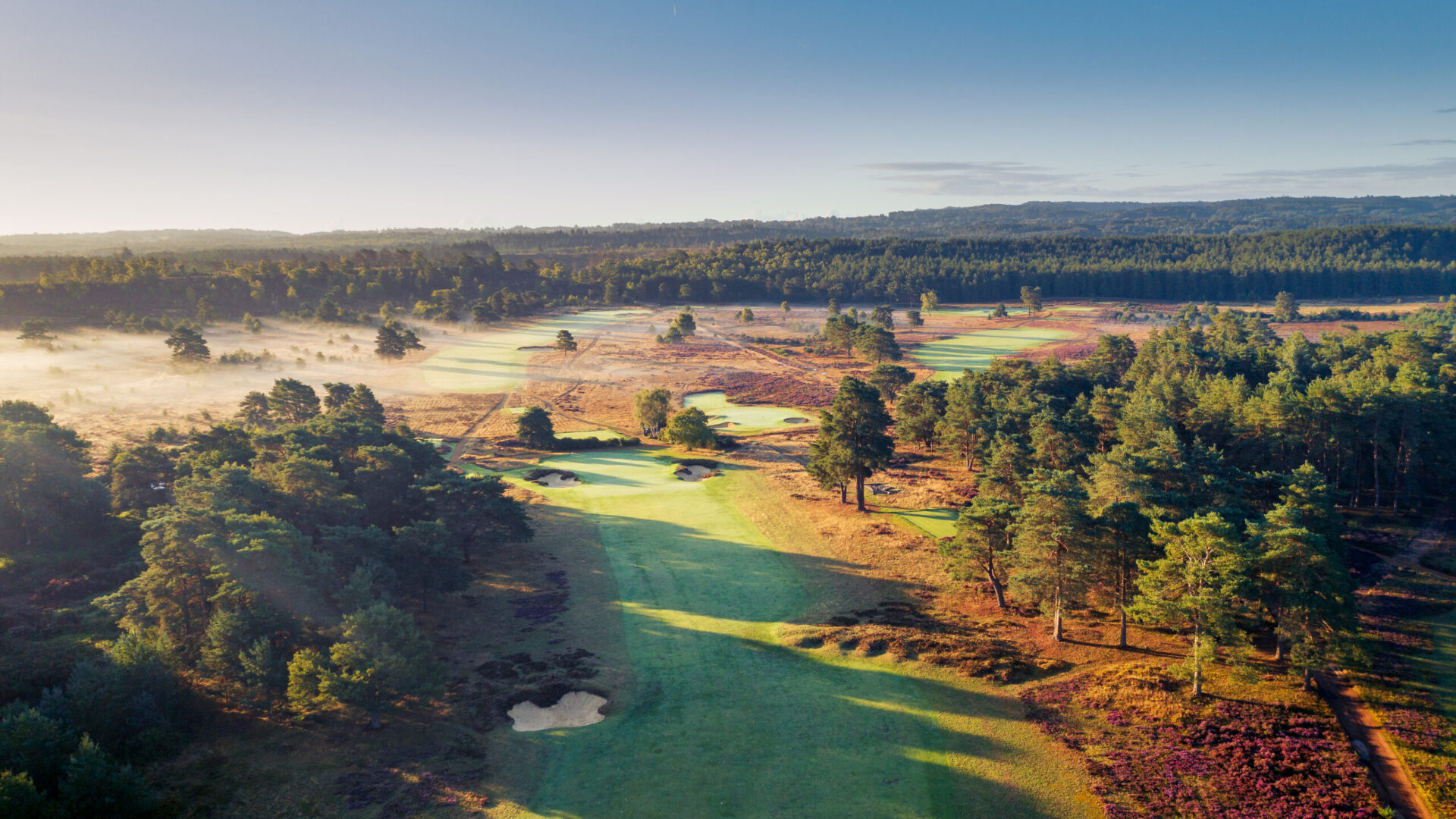 Hankley-Common-Golf-Club-2025-09th-Hole-1027