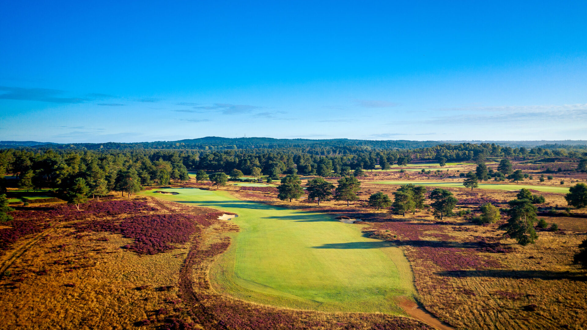 Hankley-Common-Golf-Club-2025-12th-Hole-1010