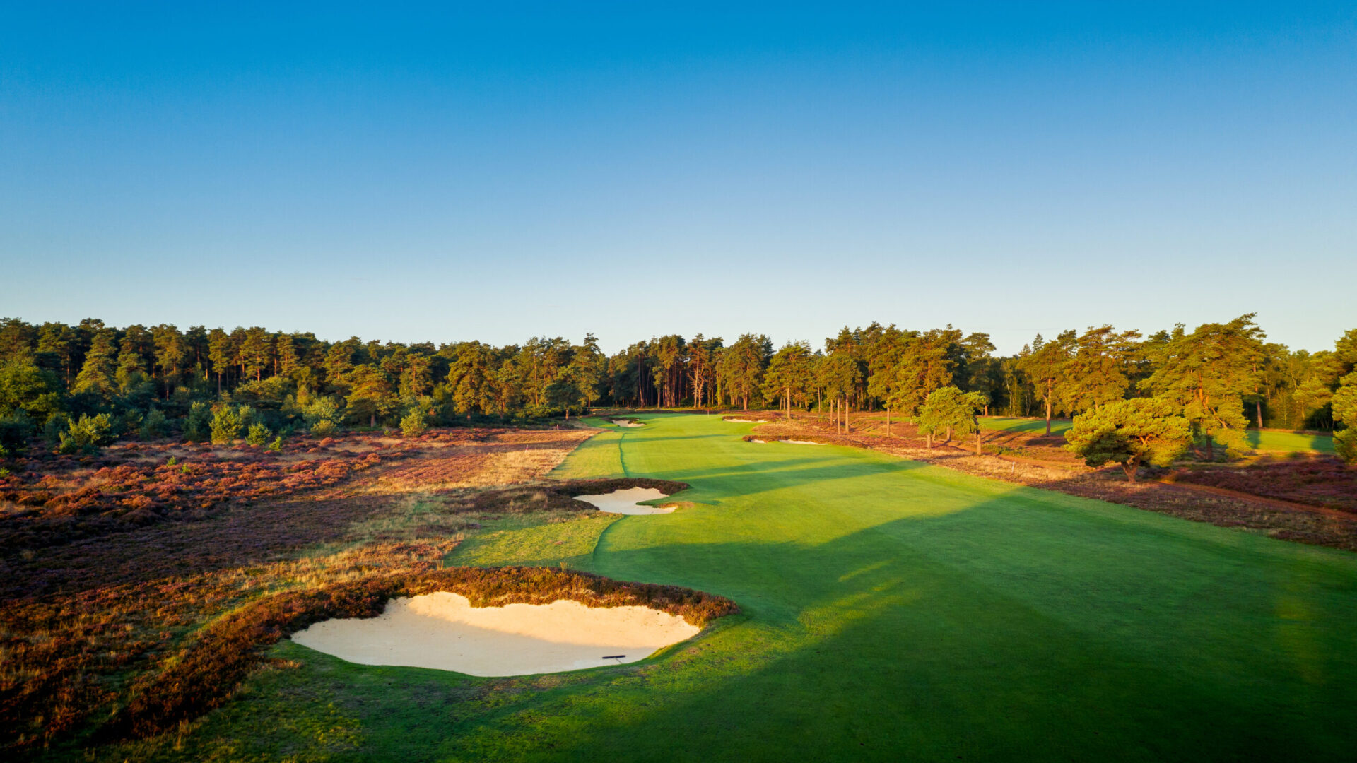 Hankley-Common-Golf-Club-2025-13th-Hole-1062