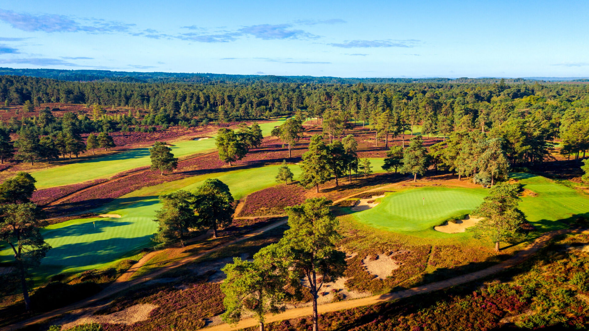 Hankley-Common-Golf-Club-2025-16th-Hole-1015